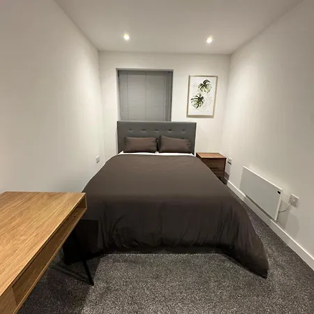 Apartment Vi